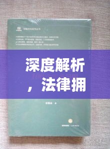 深度解析，法律拥军行动的实施现状与挑战