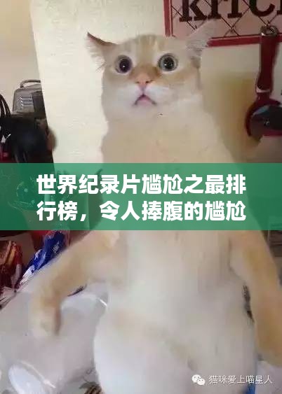 世界纪录片尴尬之最排行榜，令人捧腹的尴尬瞬间大盘点！