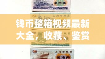 钱币整箱视频最新大全，收藏、鉴赏与投资的新视角全解析