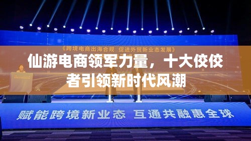 仙游电商领军力量，十大佼佼者引领新时代风潮