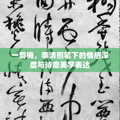 一剪梅，李清照笔下的情感深度与诗意美学表达