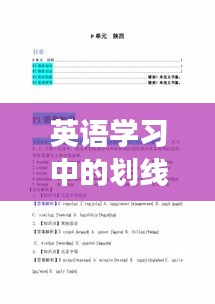 英语学习中的划线技巧，深入解析与高效应用