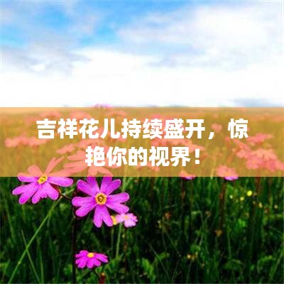 吉祥花儿持续盛开，惊艳你的视界！