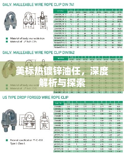 美标热镀锌油任，深度解析与探索