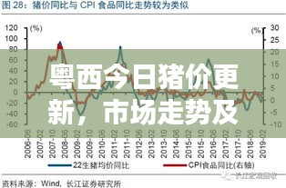 粤西今日猪价更新，市场走势及影响因素深度解析