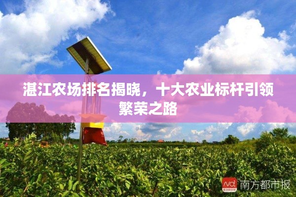 湛江农场排名揭晓，十大农业标杆引领繁荣之路