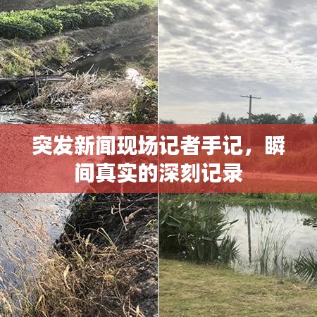 突发新闻现场记者手记，瞬间真实的深刻记录
