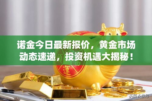 诺金今日最新报价，黄金市场动态速递，投资机遇大揭秘！