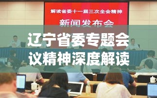 辽宁省委专题会议精神深度解读