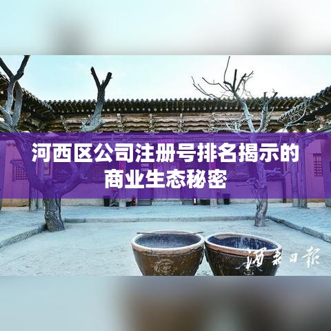 河西区公司注册号排名揭示的商业生态秘密