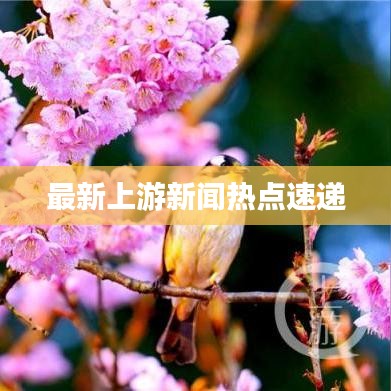 最新上游新闻热点速递