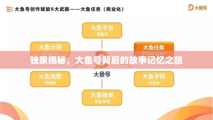 独家揭秘，大鱼号背后的故事记忆之旅