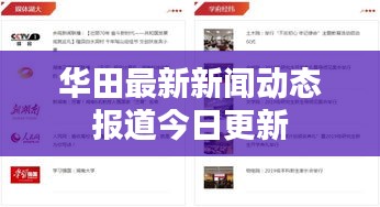 华田最新新闻动态报道今日更新