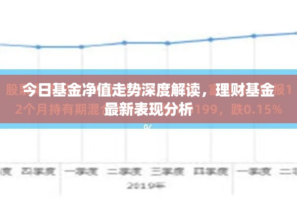今日基金净值走势深度解读，理财基金最新表现分析