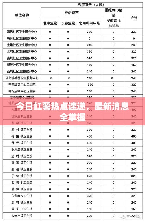 今日红薯热点速递，最新消息全掌握