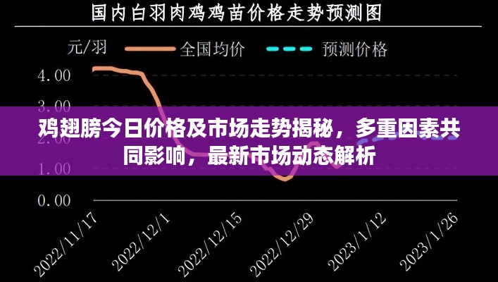 鸡翅膀今日价格及市场走势揭秘，多重因素共同影响，最新市场动态解析