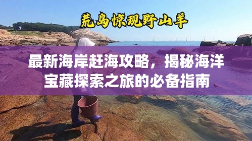 最新海岸赶海攻略，揭秘海洋宝藏探索之旅的必备指南