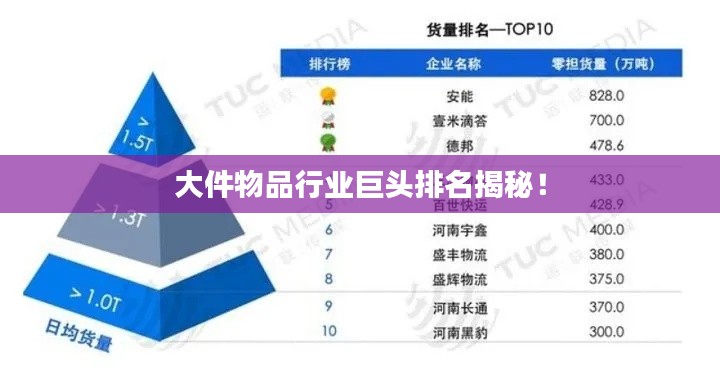 大件物品行业巨头排名揭秘！