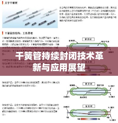 干簧管持续封闭技术革新与应用展望