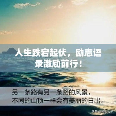 一丝不苟