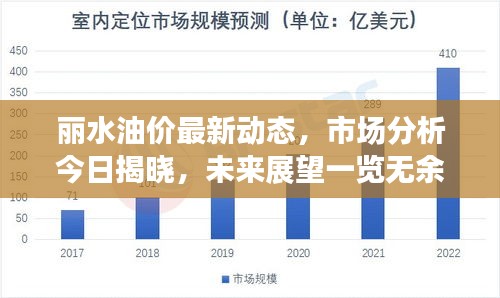 丽水油价最新动态，市场分析今日揭晓，未来展望一览无余