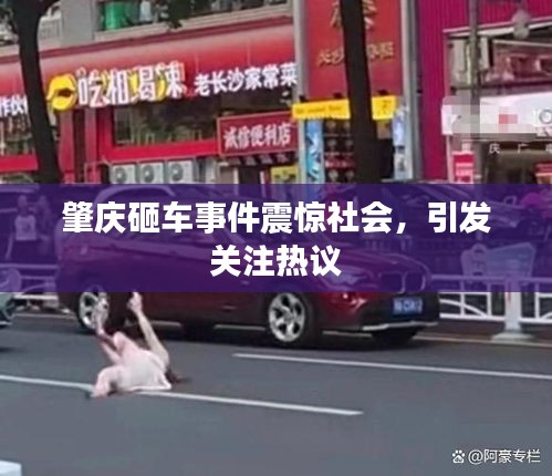 肇庆砸车事件震惊社会，引发关注热议