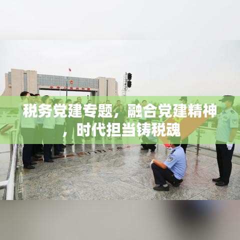 税务党建专题，融合党建精神，时代担当铸税魂