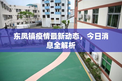 东凤镇疫情最新动态，今日消息全解析