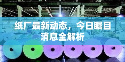 纸厂最新动态，今日瞩目消息全解析
