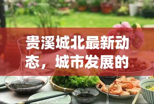 贵溪城北最新动态，城市发展的亮点与动向速递