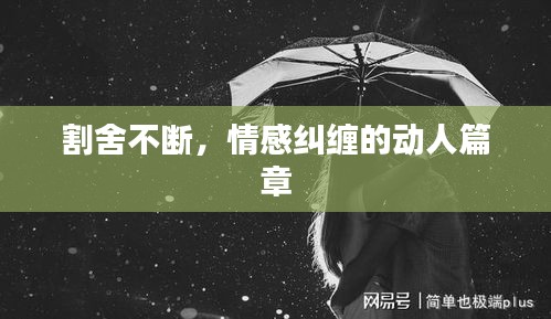 割舍不断，情感纠缠的动人篇章