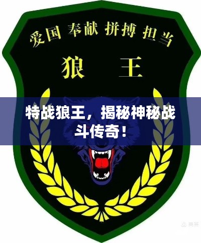 特战狼王，揭秘神秘战斗传奇！
