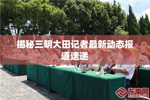 揭秘三明大田记者最新动态报道速递