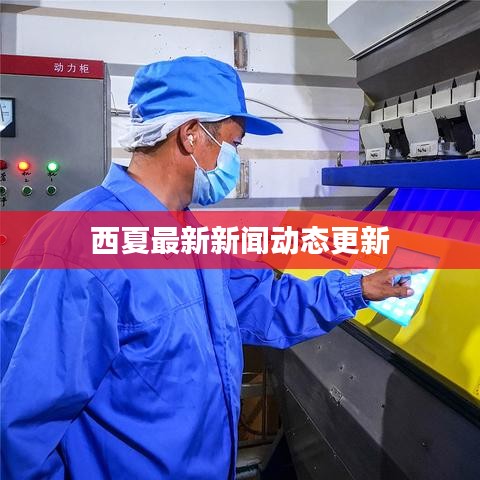 西夏最新新闻动态更新