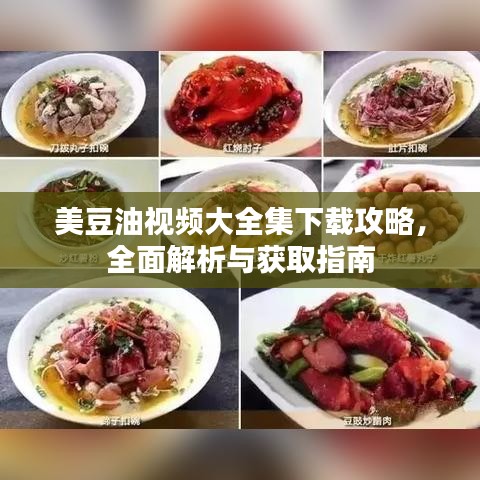 美豆油视频大全集下载攻略，全面解析与获取指南