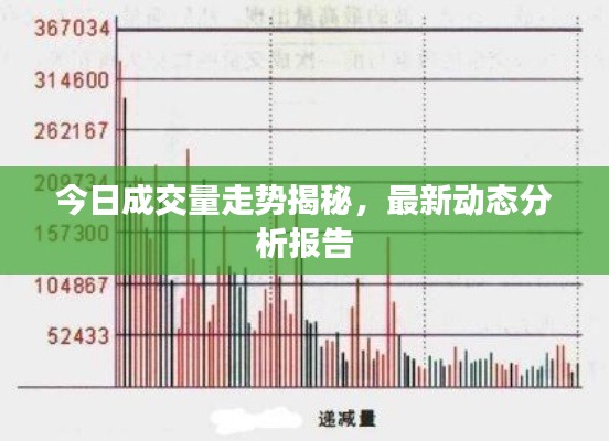 今日成交量走势揭秘，最新动态分析报告