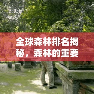 全球森林排名揭秘，森林的重要性与保护价值