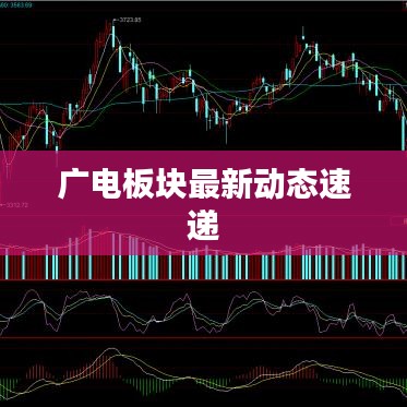 广电板块最新动态速递