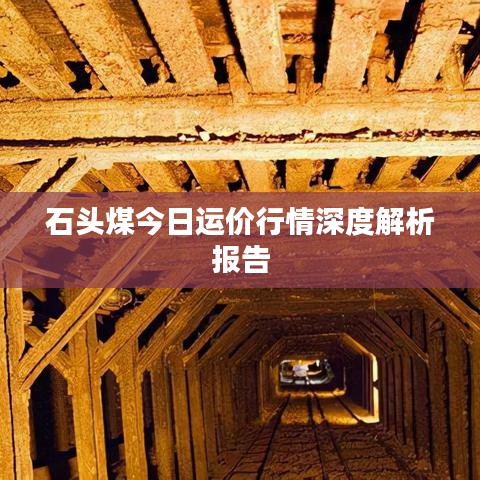石头煤今日运价行情深度解析报告
