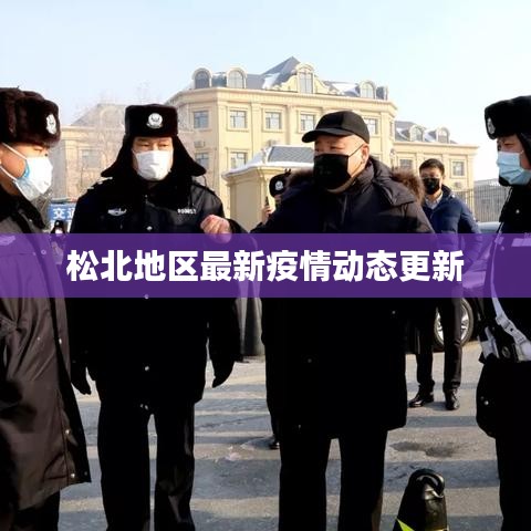 松北地区最新疫情动态更新