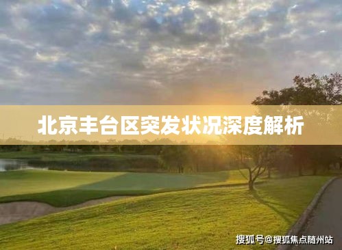 北京丰台区突发状况深度解析