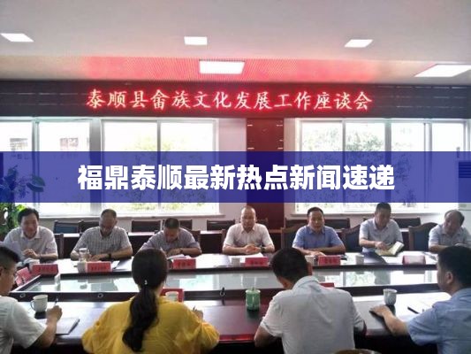 福鼎泰顺最新热点新闻速递