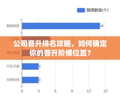 公司晋升排名攻略，如何确定你的晋升阶梯位置？