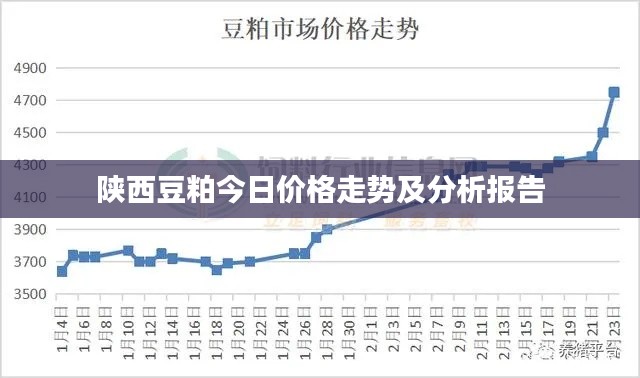 陕西豆粕今日价格走势及分析报告