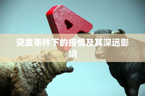 突发事件下的疫情及其深远影响