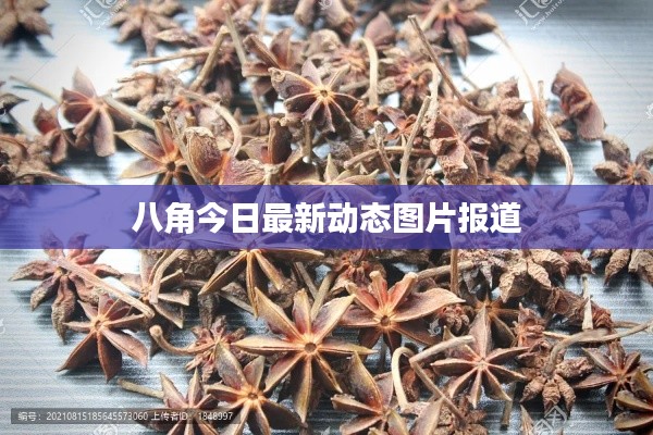 乌鸟之情