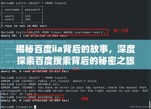 揭秘百度iia背后的故事，深度探索百度搜索背后的秘密之旅
