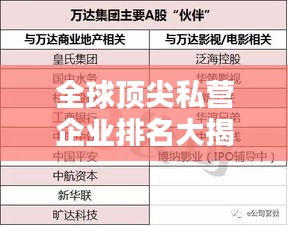 全球顶尖私营企业排名大揭秘，探究私有公司的世界地位