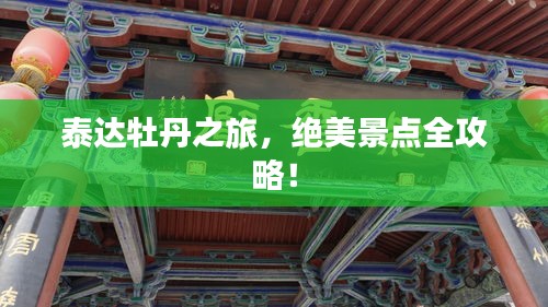 张弛不定
