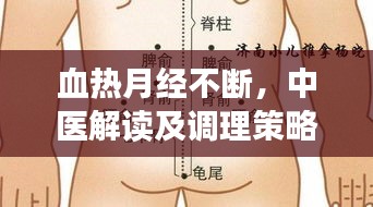 血热月经不断，中医解读及调理策略